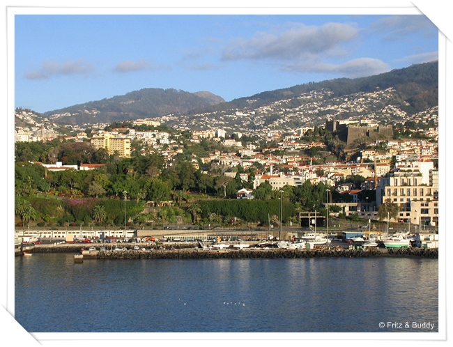 100 0009 Madeira, Funchal