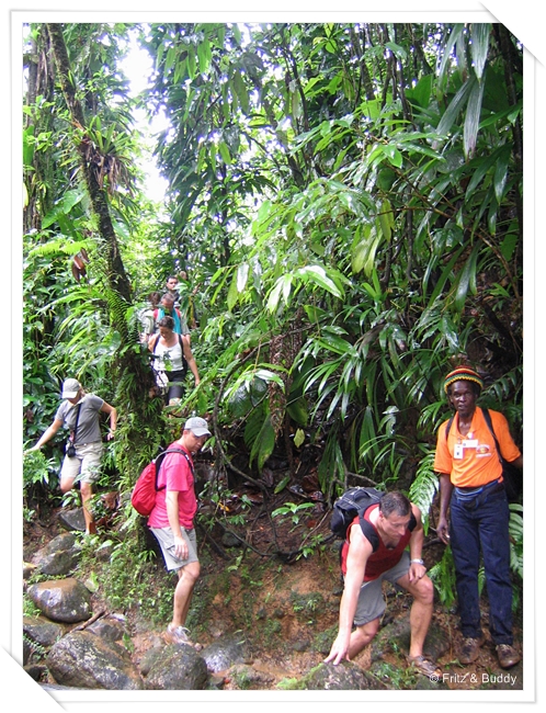 100 0085 Fluss, Wanderung, Dominica