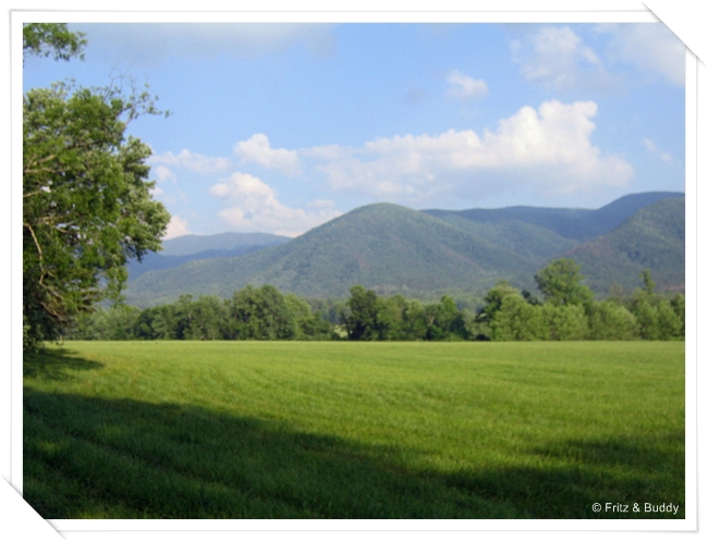 1 17 Cades Cove, Great Smoky Mountains