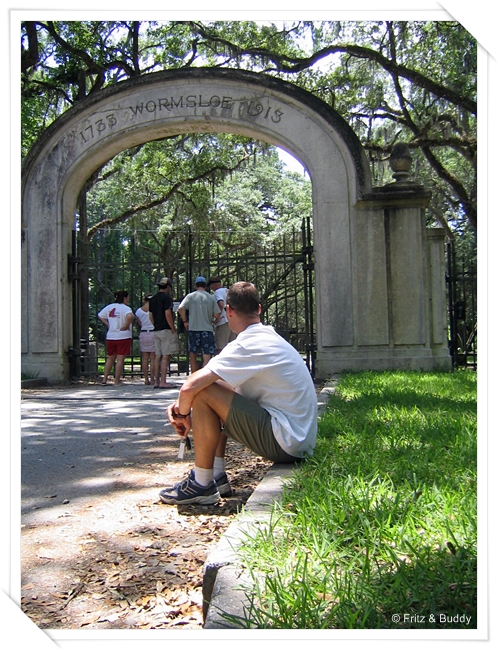 1 77 Wormsloe Historic Site, Savannah, GA