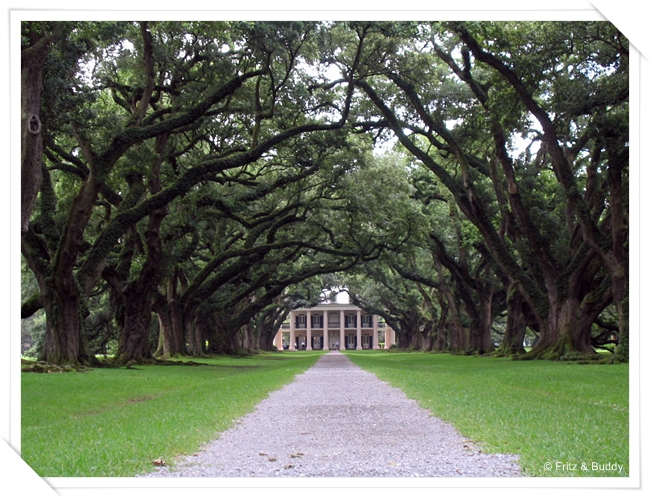 2 37 Oak Alley Plantation, Vaccherie, LS