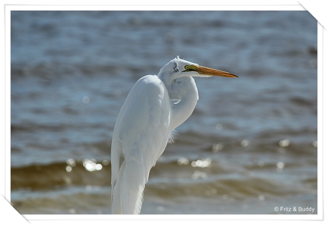 Florida 2011 246