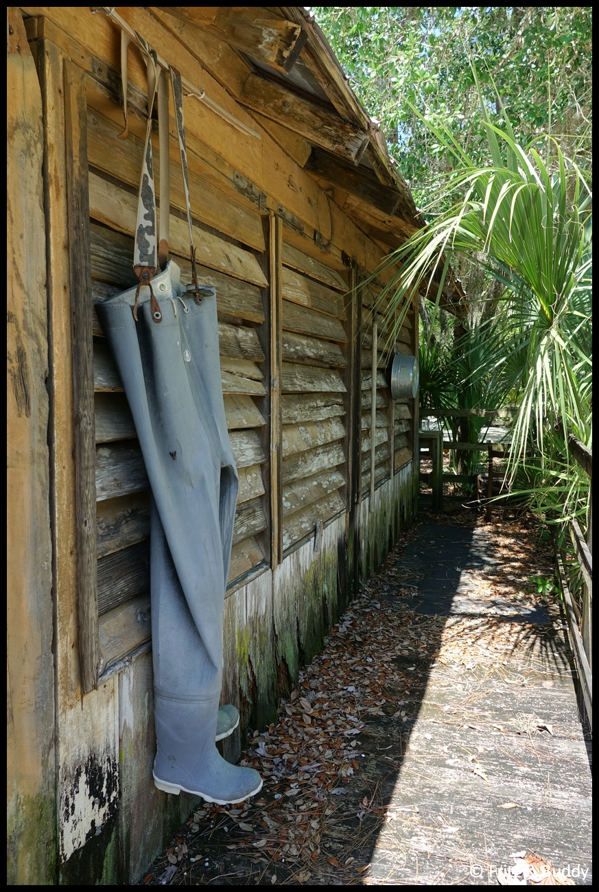 DSC05730
