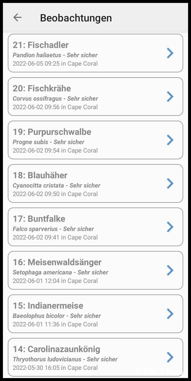 Screenshot 20220605 124239 BirdNET