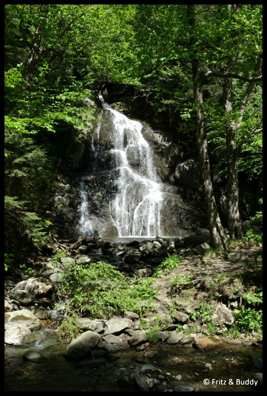 DSC08905