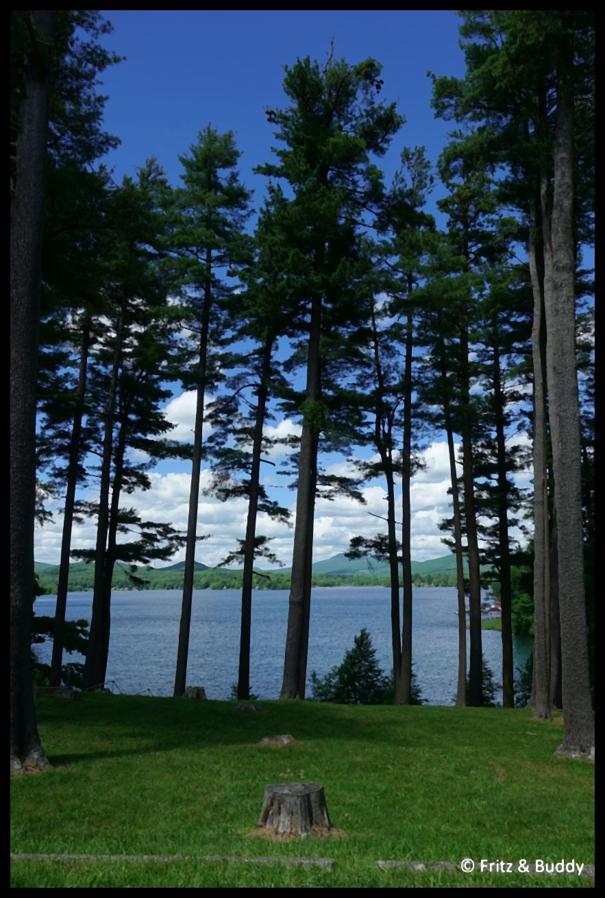 DSC09078
