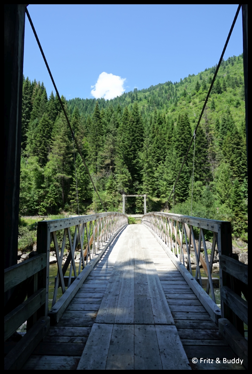 DSC00504